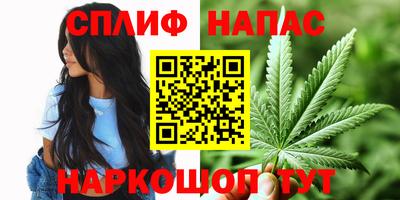 spice Пенза
