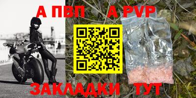 твердый Пугачёв